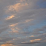 DSC_0032
