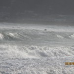 IMG_0193