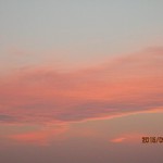 IMG_0610