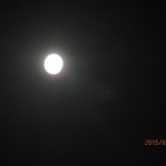 IMG_0611