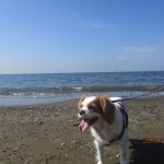 IMG_0638