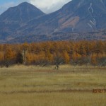 IMG_0805