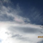 IMG_1493