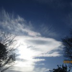 IMG_1494