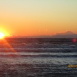 IMG_1556