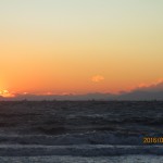 IMG_1561