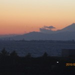 IMG_1572