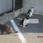 IMG_1813