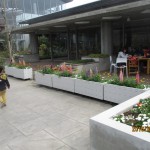 IMG_2010