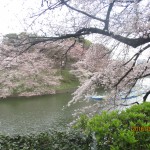 IMG_2041