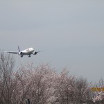 IMG_2129