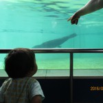 IMG_3252