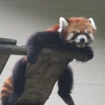 IMG_3276