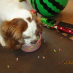 IMG_3455