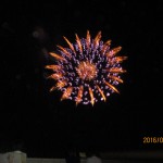 IMG_3516