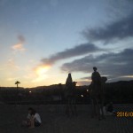 IMG_3531