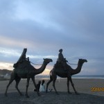 IMG_3537