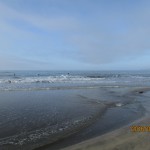 IMG_3571