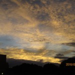 IMG_3640