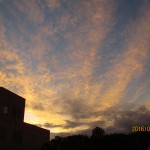 IMG_3641