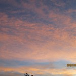 IMG_3644