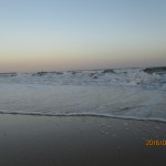 IMG_3847