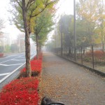 img_4589
