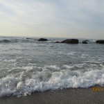 img_4611
