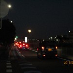 IMG_5264