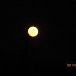 IMG_5267