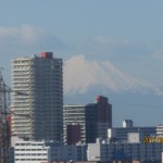 IMG_5291