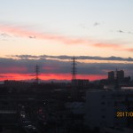 IMG_5294