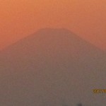 IMG_5390