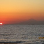 IMG_5391