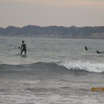 IMG_5554