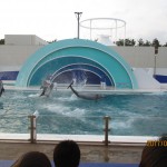 IMG_5722