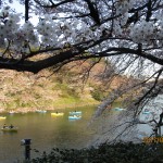 IMG_5788