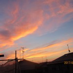 IMG_7203