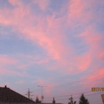 IMG_7204