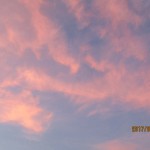 IMG_7205