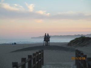 IMG_7731