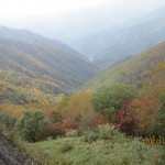 IMG_7770