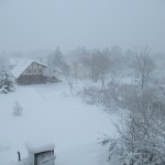 IMG_0115