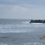IMG_8136