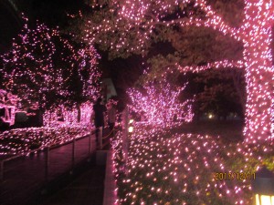 IMG_8351