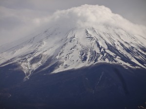 DSC07491