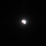 IMG_0393