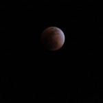IMG_0398