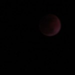IMG_0404