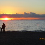 IMG_8428